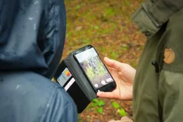 Qual’è il futuro del settore forestale mediterraneo? Un questionario del progetto DigiMedFor