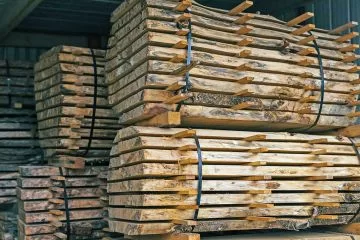 EUDR, Europarlamento approva la proposta di semplificazione