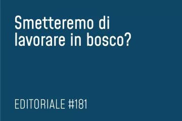 Smetteremo di lavorare in bosco?