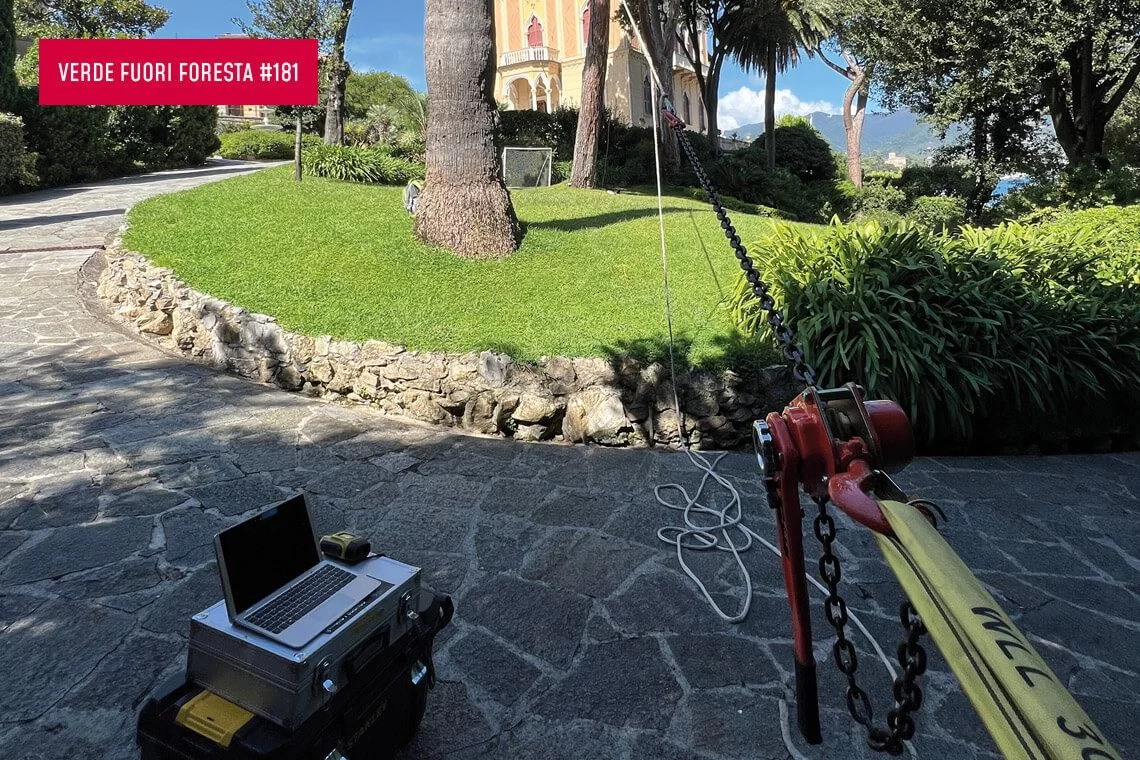 Il pulling test nella valutazione di stabilità degli alberi urbani