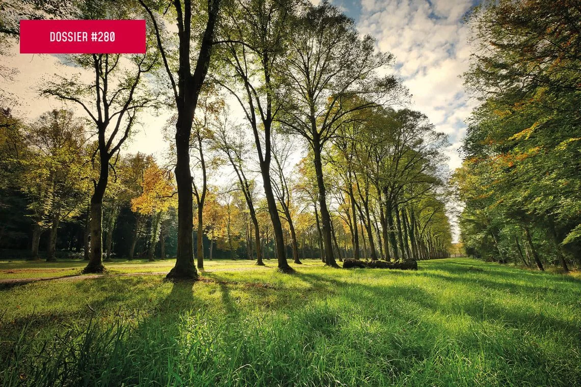 Ripristino degli ecosistemi urbani