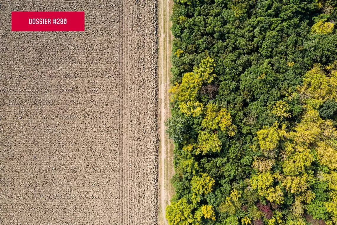 Ripristino di ecosistemi agricoli, fluviali e di impollinatori