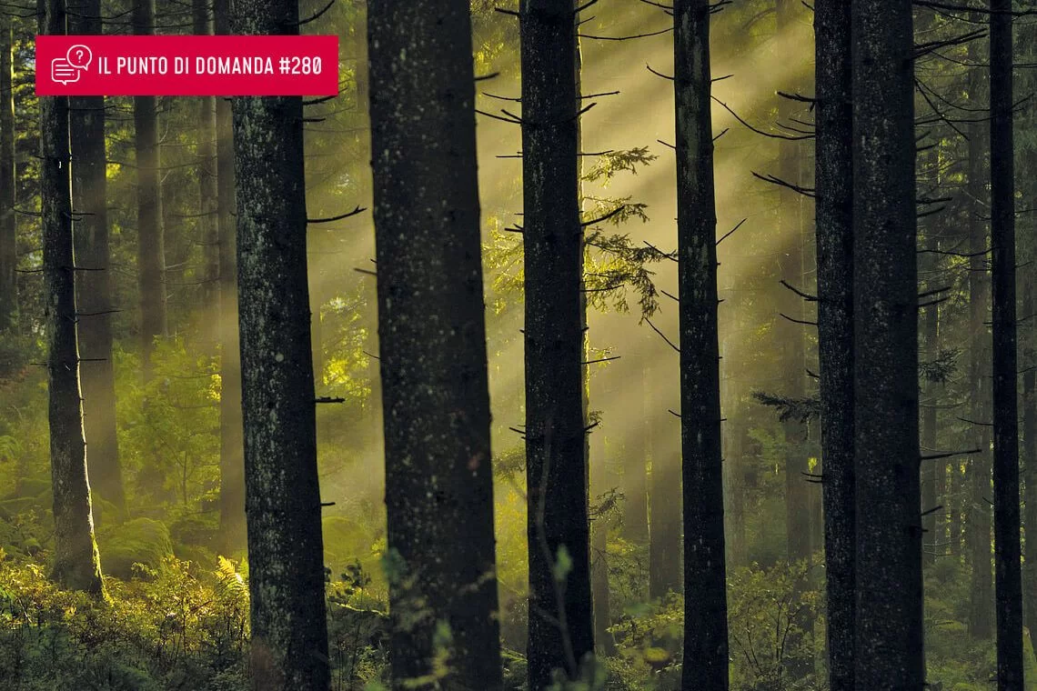 Nuovo Registro italiano per i crediti di carbonio