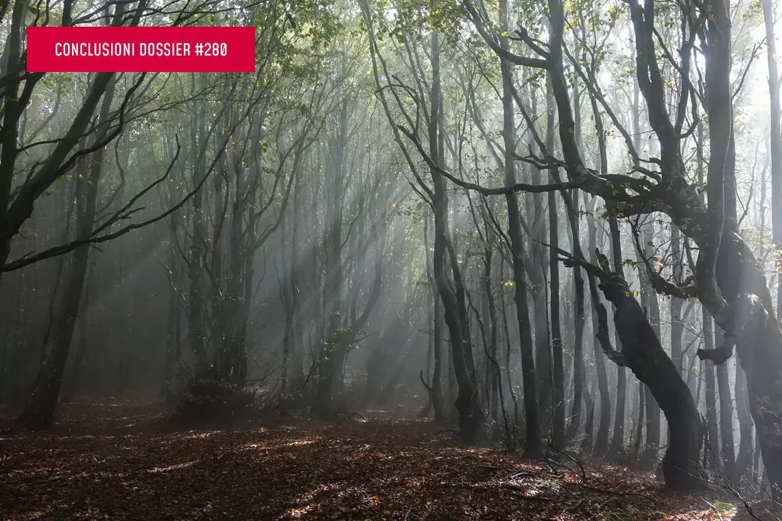 Conclusioni del Dossier sulla NRL