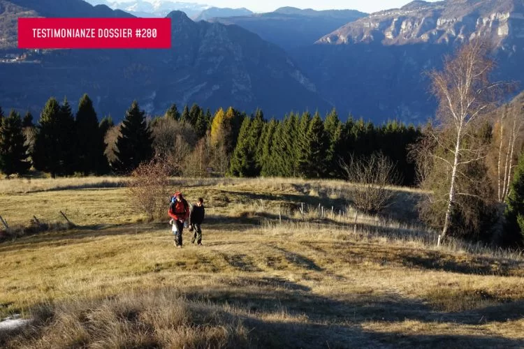 SH280-D-testimonianze-gambetti_medium.jpg