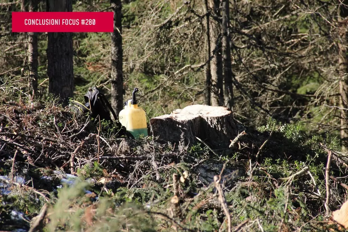 Considerazioni sui controlli forestali