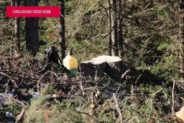 Considerazioni e ipotesi di miglioramento del sistema dei controlli forestali