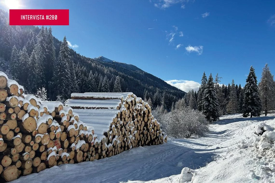 Intervista a Giovannini sul futuro delle foreste alpine in crisi
