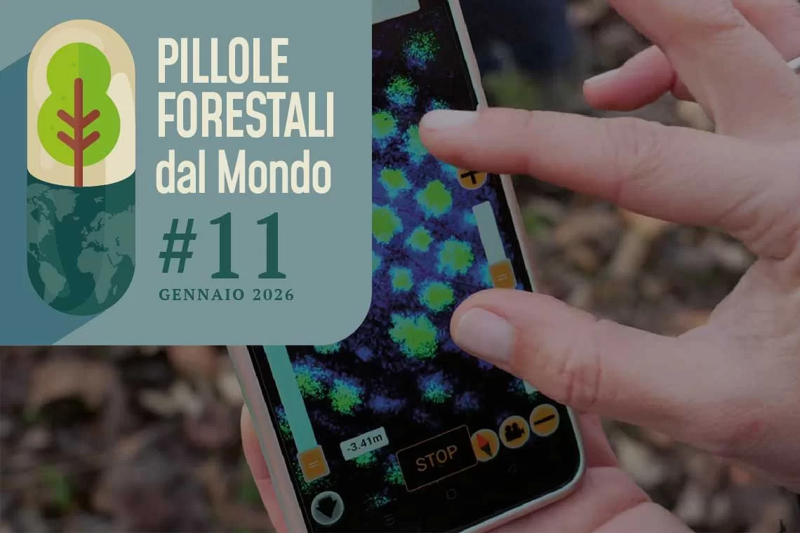 Pillole forestali dal mondo #11