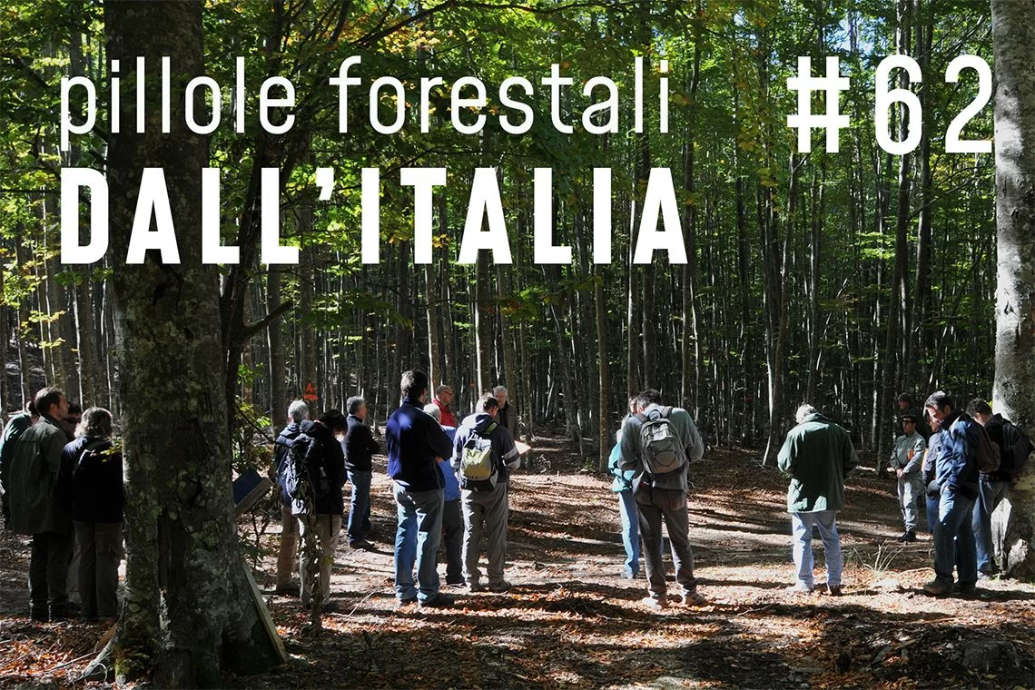 Pillole forestali dall'Italia puntata 62