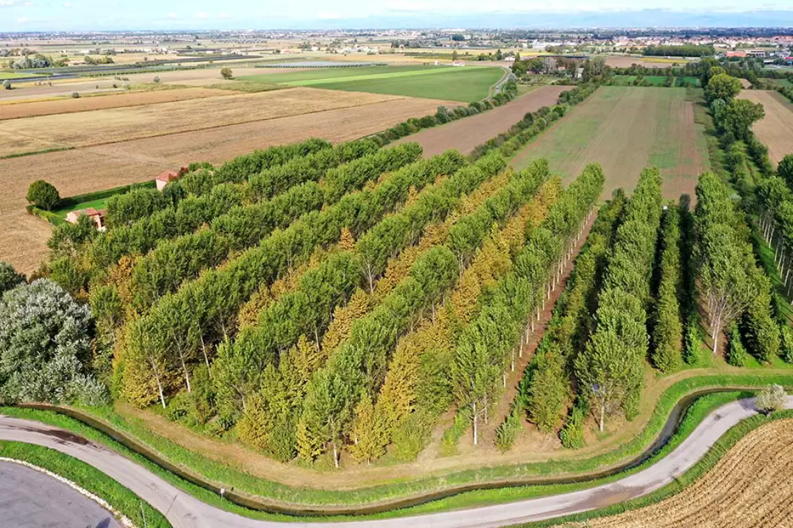 Presentazione del GO DICO-CARBON e cantiere forestale dimostrativo