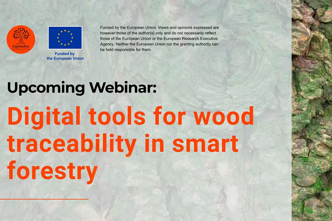 Digitalizzazione del settore forestale, strumenti e risultati del progetto DigiMedFor