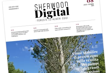 Sherwood digital n.8 - Luglio-Dicembre 2025