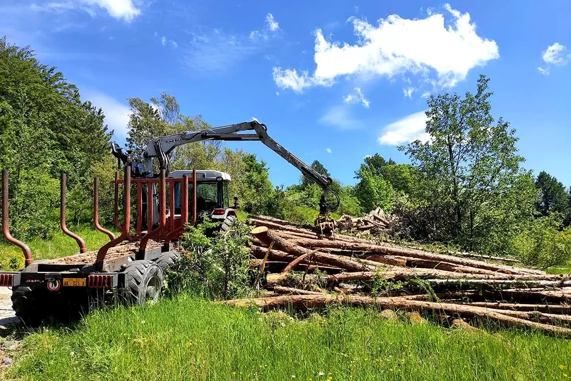 Avvisi di vendita di materiale legnoso in Casentino - Arezzo