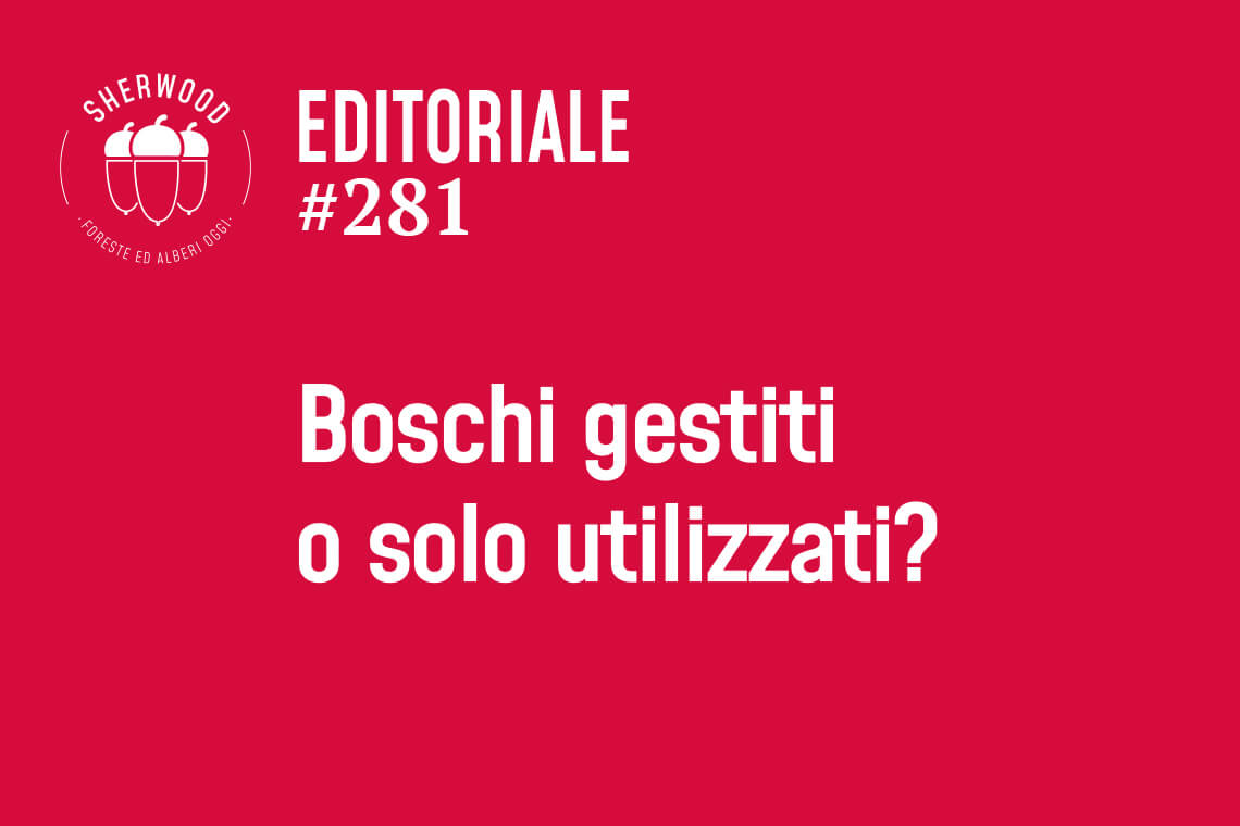 Io avevo un piccolo sogno, oggi noi ne abbiamo uno molto più grande!