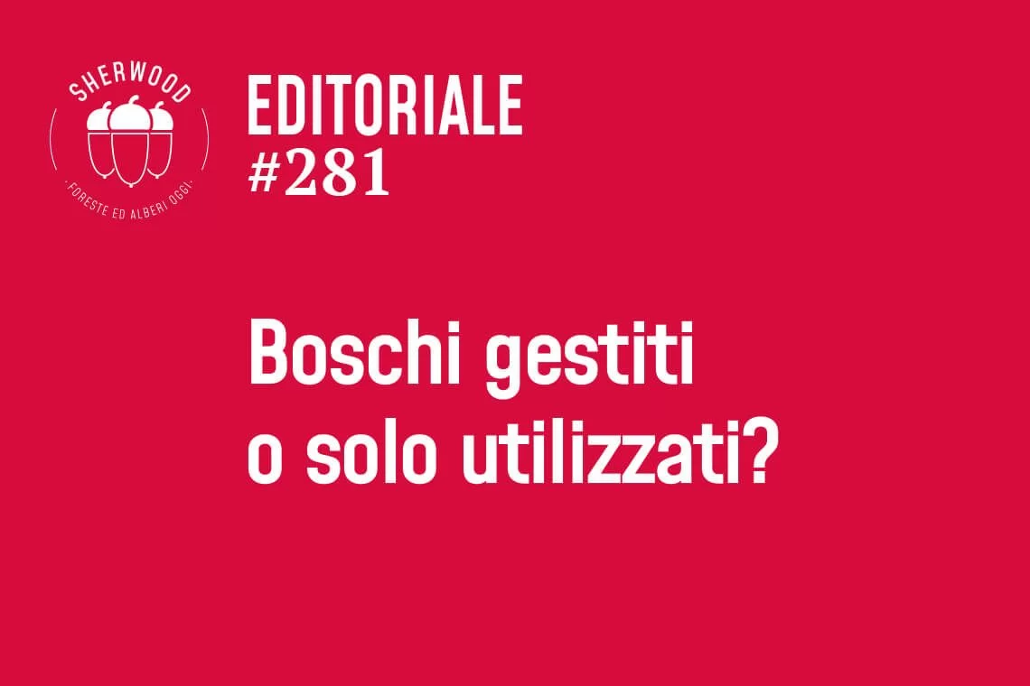 Boschi gestiti o solo utilizzati?