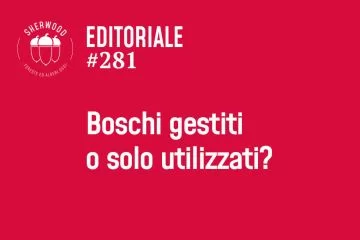 Boschi gestiti o solo utilizzati?