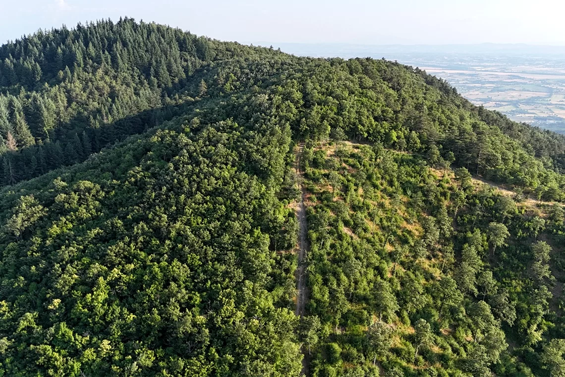 I Decreti “scalata” della nuova Legge sulla montagna: focus su frammentazione fondiaria e terreni silenti