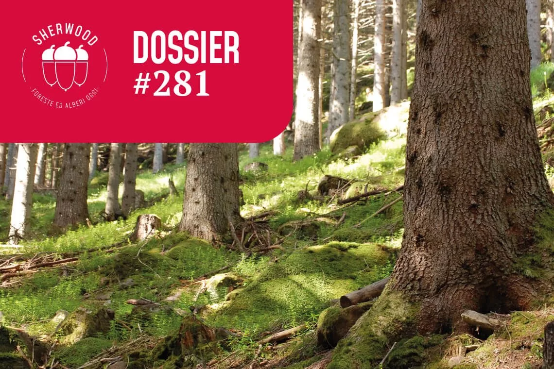 Linee guida nazionali. Gli interventi ammissibili