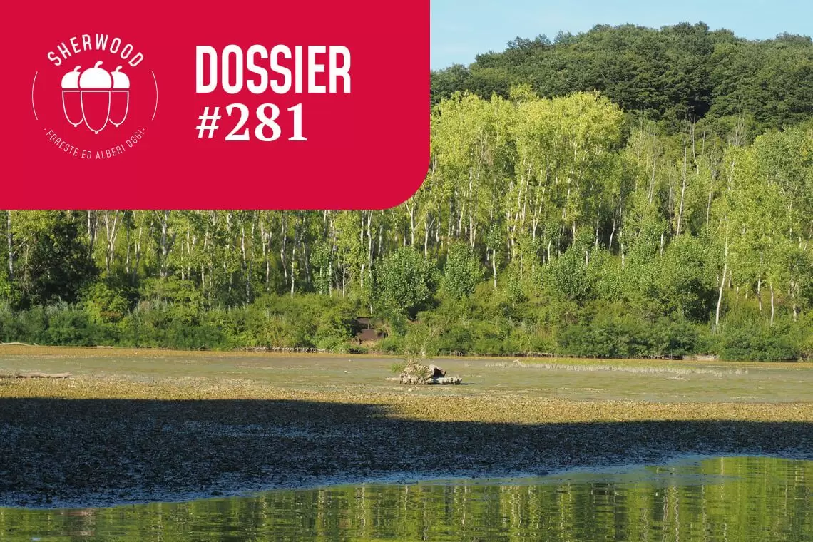 Roadmap UE sui Crediti di natura