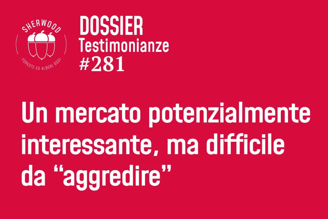 Un mercato interessante, ma difficile da “aggredire”