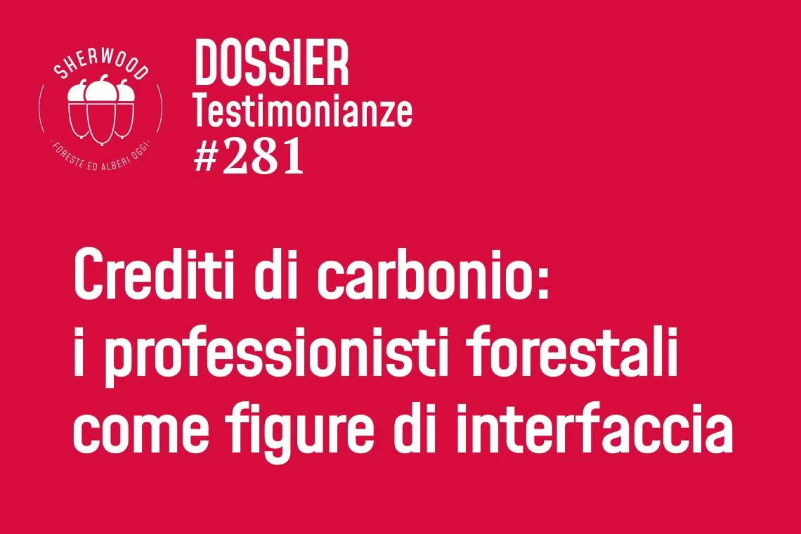 Crediti di carbonio: i professionisti forestali come figure di interfaccia