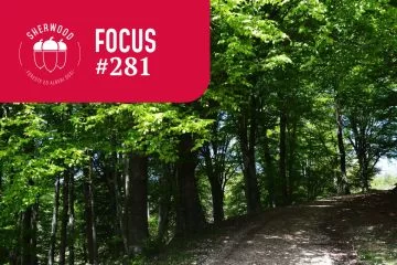 SH281-F-art04_thumbnail.jpg
