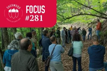 Il Manager Forestale, figura chiave per gli Accordi di Foresta