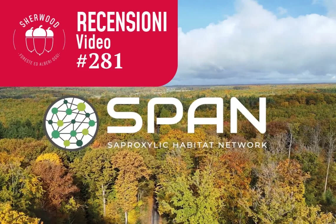 Legno morto nelle foreste gestite. Documentario SPAN