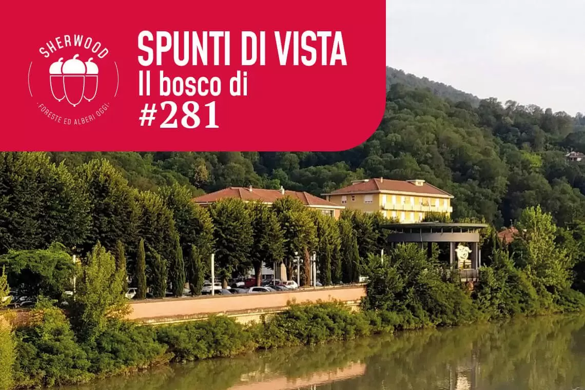 I boschi della Collina Torinese nella vita di Terzuolo