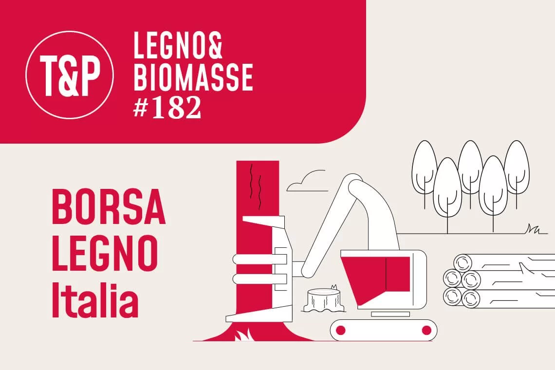 Boschi in piedi in Italia. Lotti venduti nel 2025