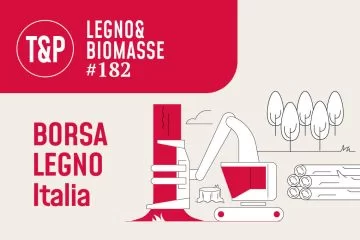 Prezzi di boschi in piedi: Lotti venduti in varie zone d’Italia (2025)