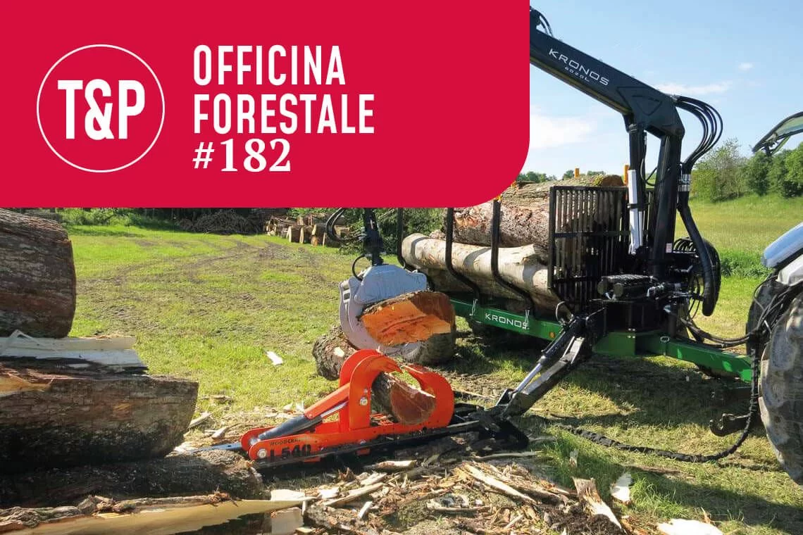 Woodcracker L: spaccalegna compatto e versatile