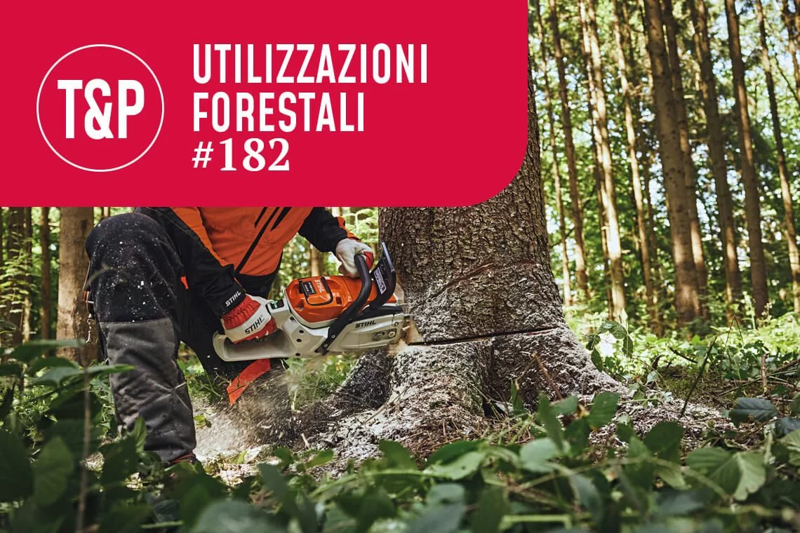 L’evoluzione della tecnologia elettrica per operatori forestali: uno sguardo su Stihl nel suo centenario