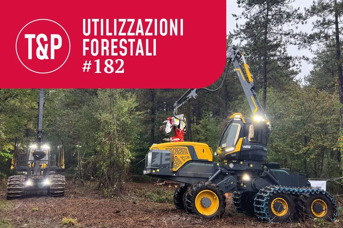 La meccanizzazione avanzata può avere un ruolo nella selvicoltura closer-to-nature? Riflessioni dall’EcoLog Live