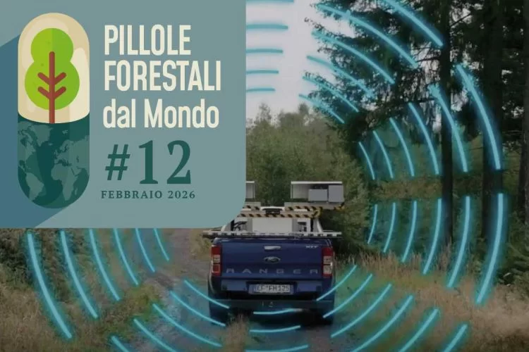 Pillole forestali dal mondo #12 - Dal rilievo delle strade forestali in Germania all'Atlante degli alberi dell'Africa equatoriale