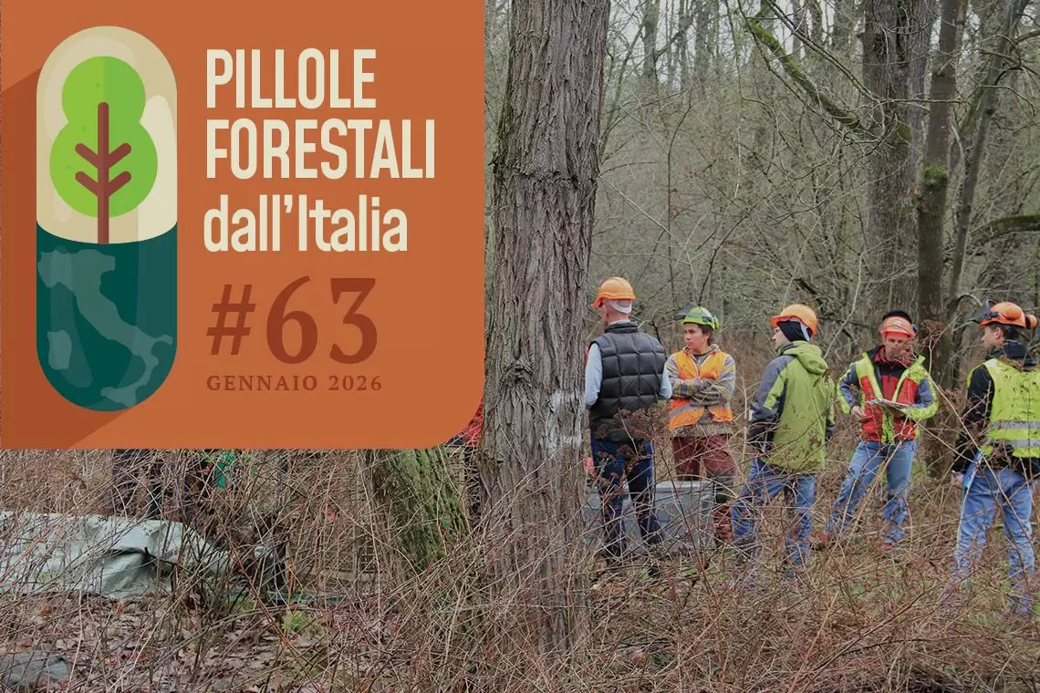 pillole forestali 63 - gennaio 2026