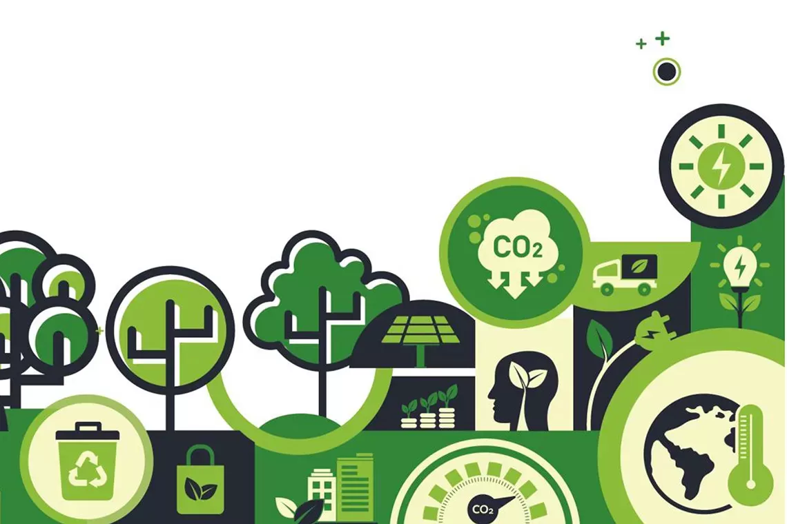 Il ruolo delle certificazioni nella Strategia Forestale Regionale del Lazio