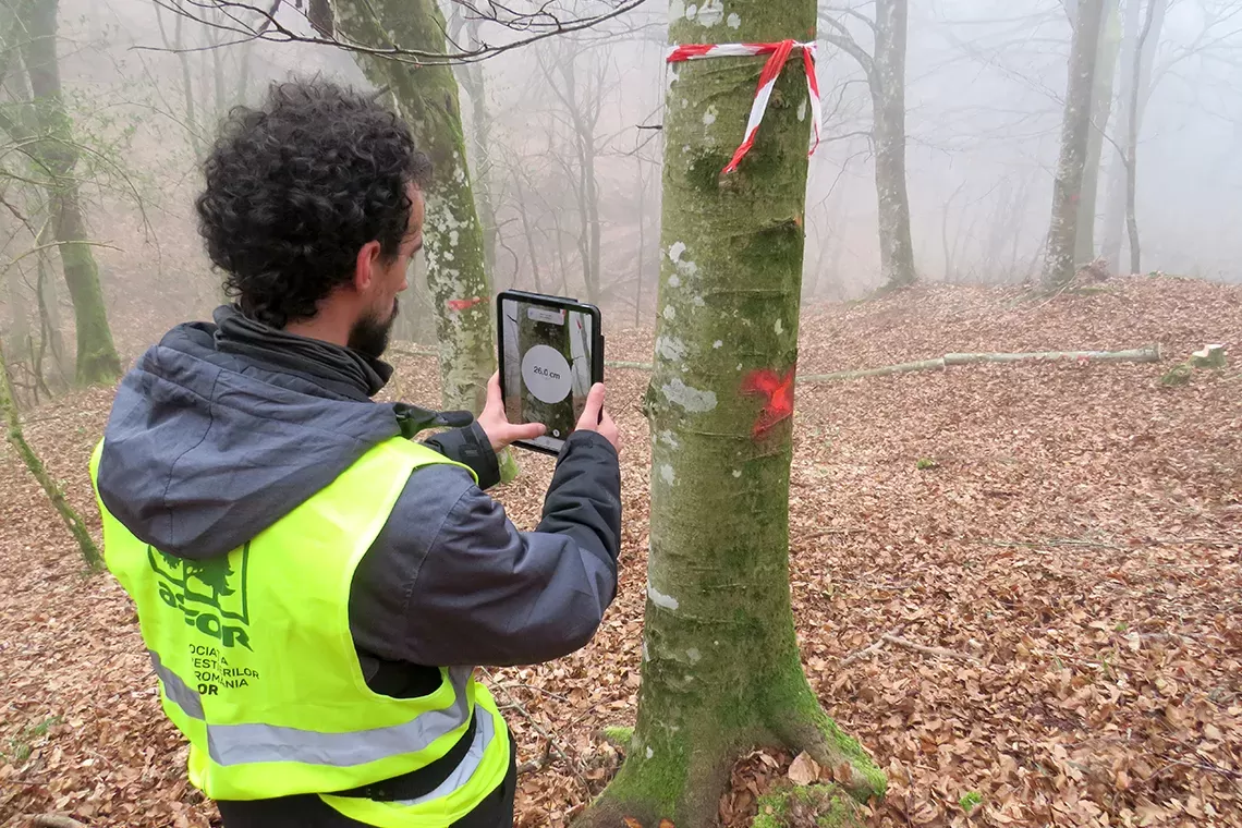 Demo SINTETIC sulla tracciabilità del legno a San Godenzo (FI)