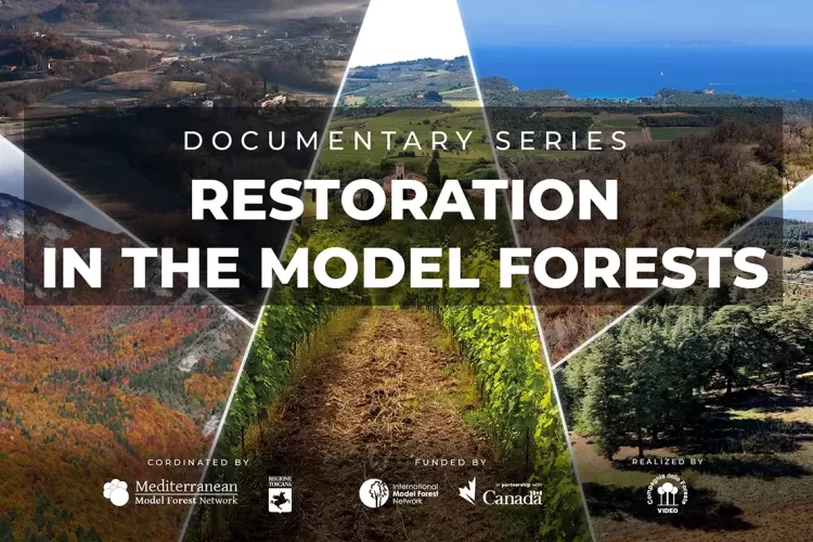 RESTORATION IN THE MODEL FORESTS - Una serie video in 5 episodi racconta l’approccio Foresta Modello al ripristino degli ecosistemi e delle comunità nel Mediterraneo