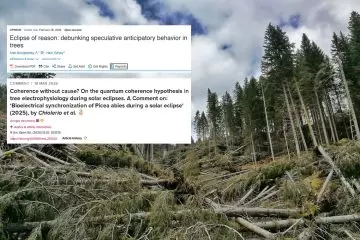 Quando una narrazione accattivante sovrasta il rigore scientifico: il caso emblematico degli 