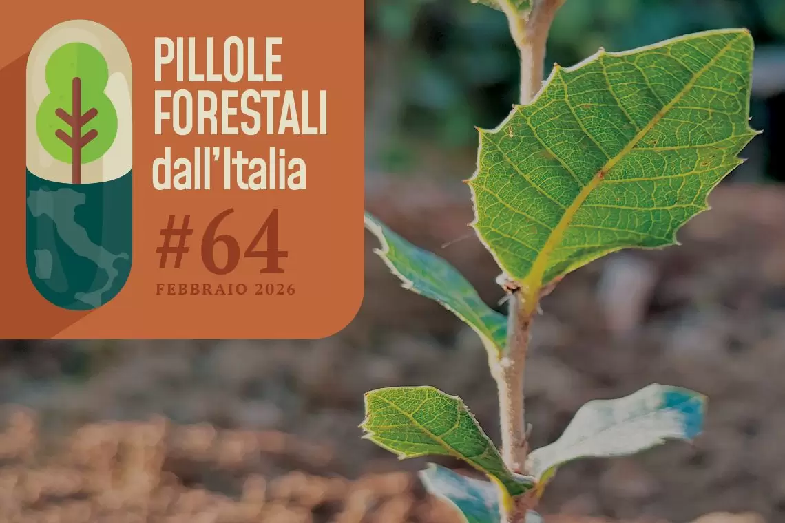 pillole forestali 64 - febbraio 2026