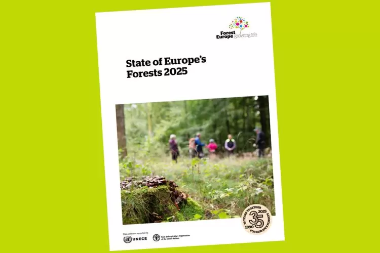 È uscito lo “State of Europe’s Forests 2025”: un’ampia panoramica sulle condizioni, la gestione e l'utilizzo delle risorse forestali europee