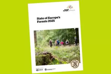 È uscito lo “State of Europe’s Forests 2025”: un’ampia panoramica sulle condizioni, la gestione e l'utilizzo delle risorse forestali europee