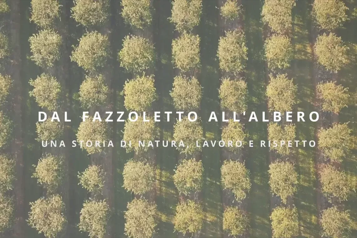 Dal fazzoletto all’albero: un viaggio educativo tra piantagioni, lavoro e innovazione