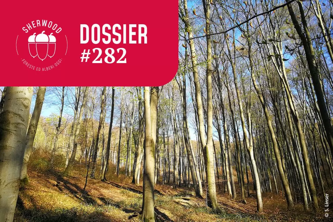 Schede dei 17 indicatori di Gestione Forestale Integrata