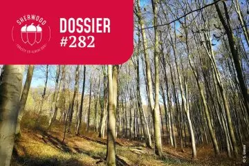 Schede dei 17 indicatori di Gestione Forestale Integrata