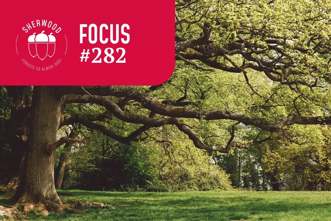 Verde urbano: come superare i conflitti?