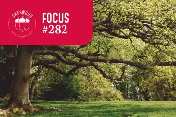 Verde urbano: come superare i conflitti?