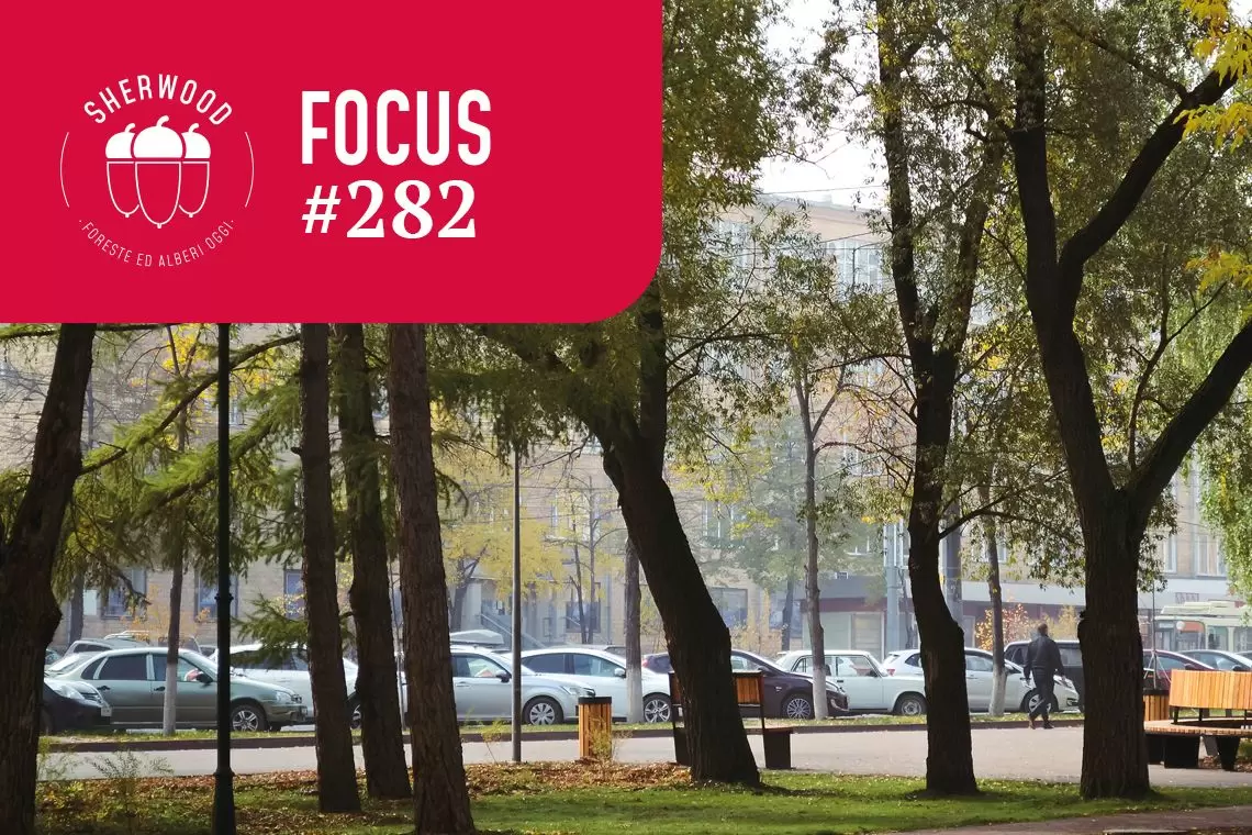 Alberature urbane tra conflitto e responsabilità